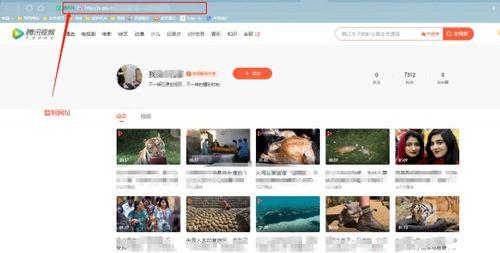 娱乐爆料社视频无水印,揭秘热门视频幕后无水印制作过程